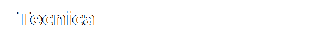 Casella di testo:  Tecnica
 
