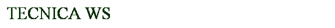 Casella di testo: TECNICA WS
